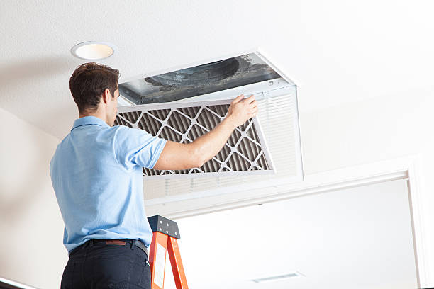 Best Residential HVAC Services  in Hillsboro, MO
